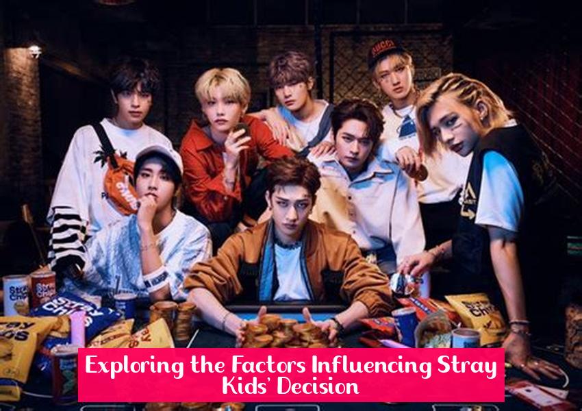 Exploring the Factors Influencing Stray Kids' Decision