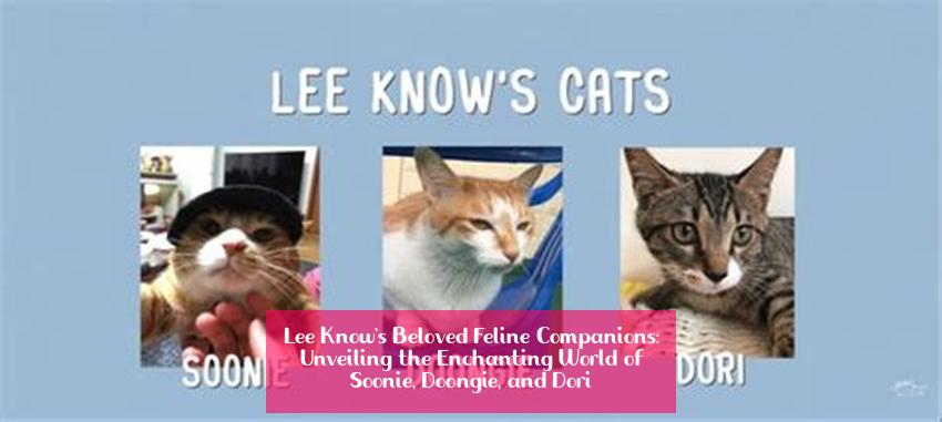 Lee Know's Beloved Feline Companions: Unveiling the Enchanting World of Soonie, Doongie, and Dori