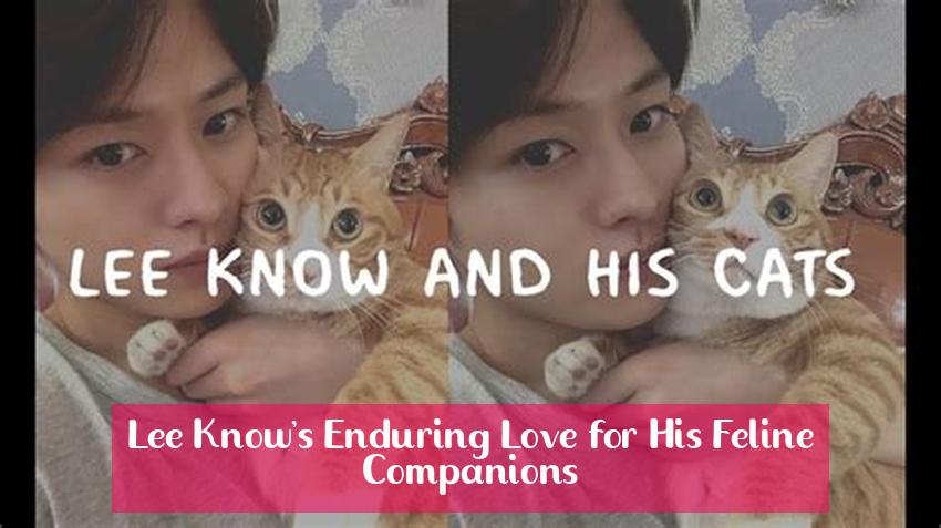 Lee Know's Enduring Love for His Feline Companions