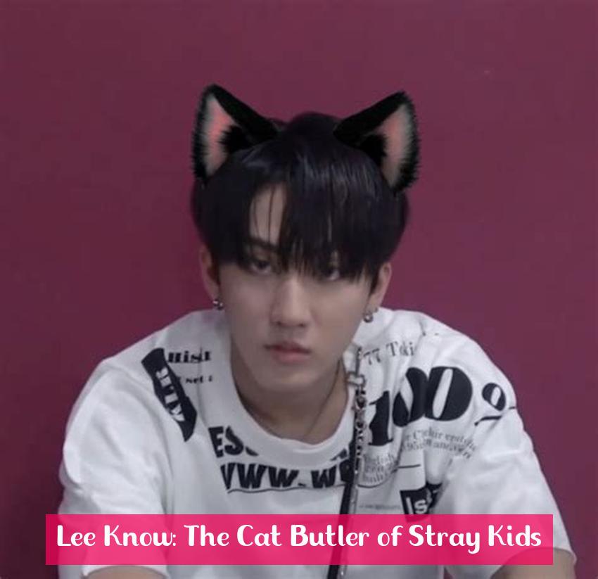 Lee Know: The Cat Butler of Stray Kids