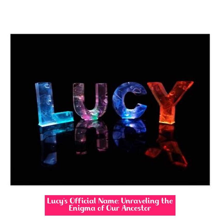 Lucy's Official Name: Unraveling the Enigma of Our Ancestor
