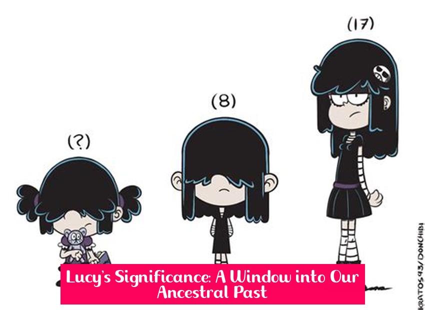 Lucy's Significance: A Window into Our Ancestral Past