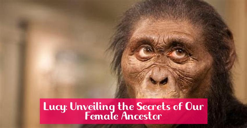 Lucy: Unveiling the Secrets of Our Female Ancestor