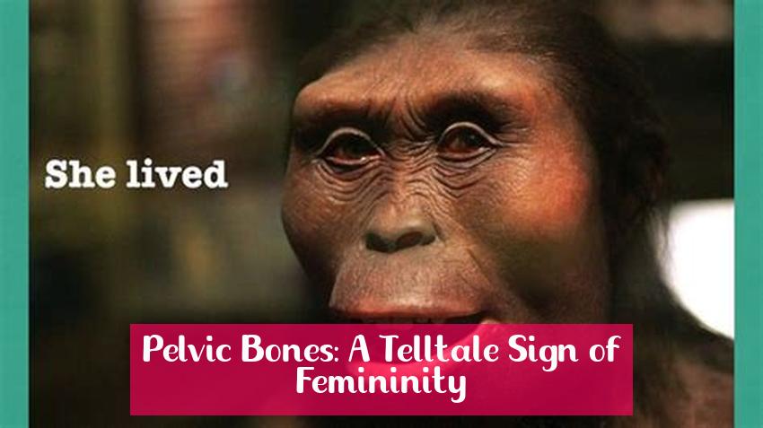 Pelvic Bones: A Telltale Sign of Femininity