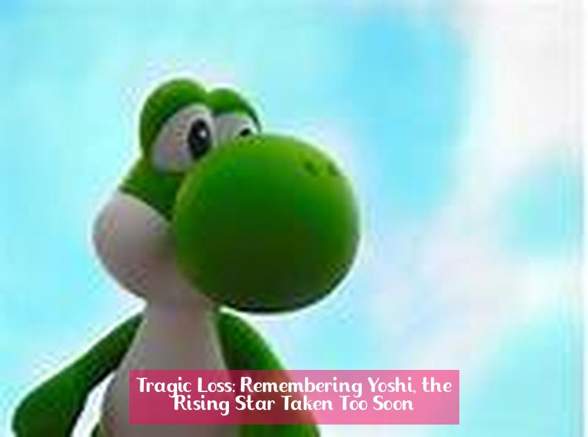 Tragic Loss: Remembering Yoshi, the Rising Star Taken Too Soon