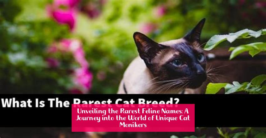 Unveiling the Rarest Feline Names: A Journey into the World of Unique Cat Monikers
