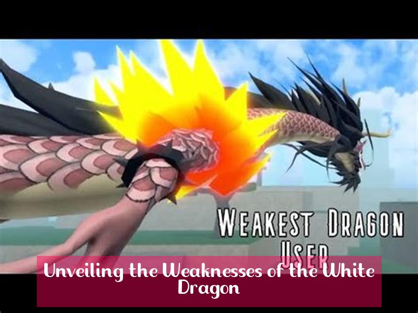 Unveiling the Weaknesses of the White Dragon