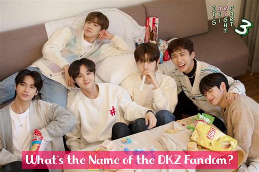 What's the Name of the DKZ Fandom?