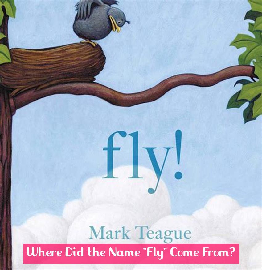 Where Did the Name "Fly" Come From?