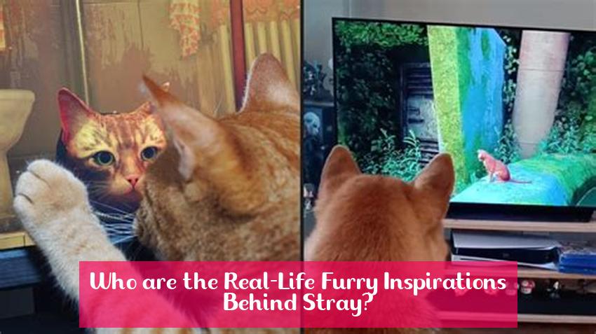 Who are the Real-Life Furry Inspirations Behind Stray?