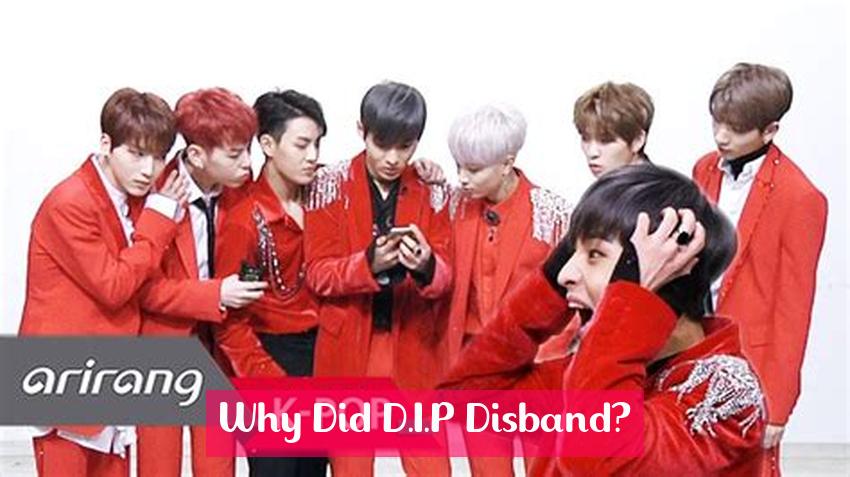 Why Did D.I.P Disband?
